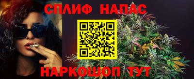 спайс Обь