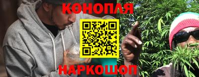 спайс Обь